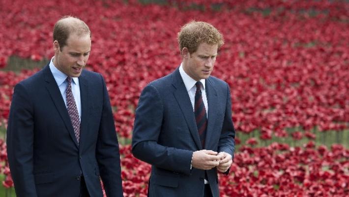 Eros e nobiltà: Harry e William a tutto gossip