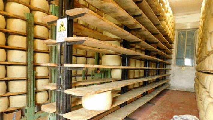 Razzia di formaggio al caseificio di Vezzano