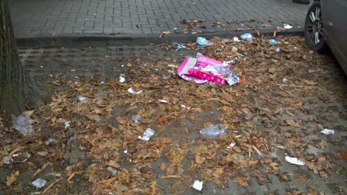 Rifiuti nei parcheggi a righe blu in viale Duca Alessandro
