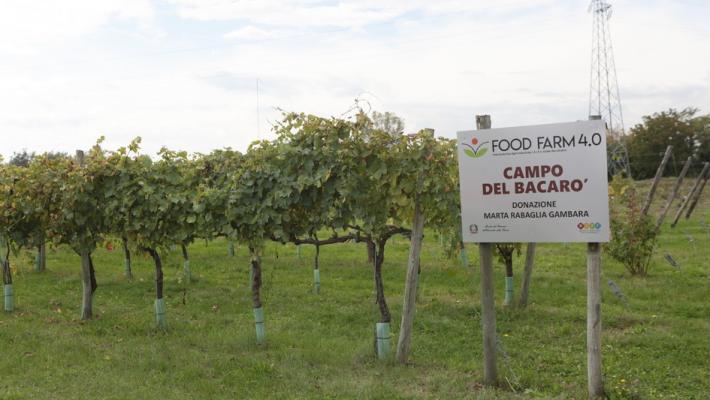 Sport Day 2020 al Campus e Food Farm 4.0: un modello per l'Italia