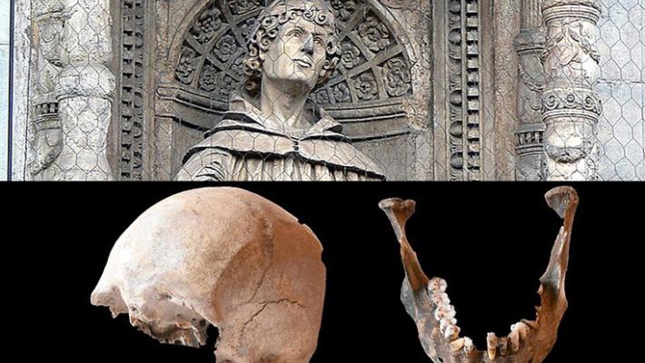 Cranio misterioso potrebbe essere di Plinio il Vecchio 