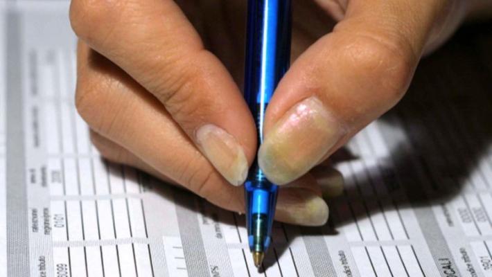 Crescono le partite Iva, maggior aumento nell'istruzione