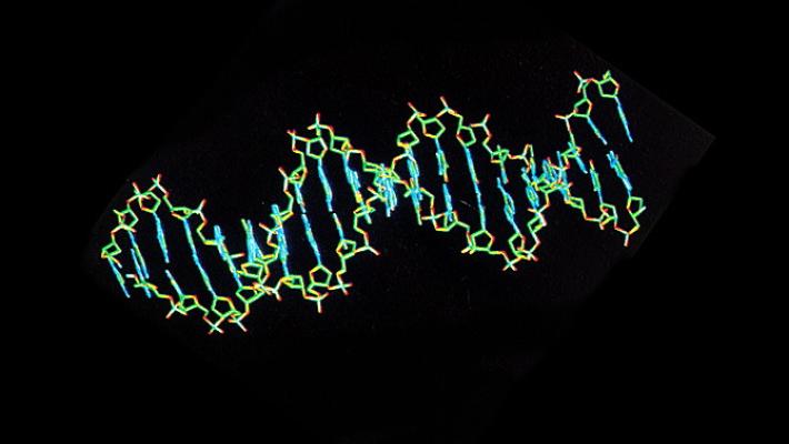 Sindrome di Down, un gene dietro alle malformazioni del cuore