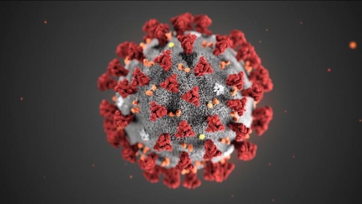  Coronavirus: stop anche a Torino-Parma