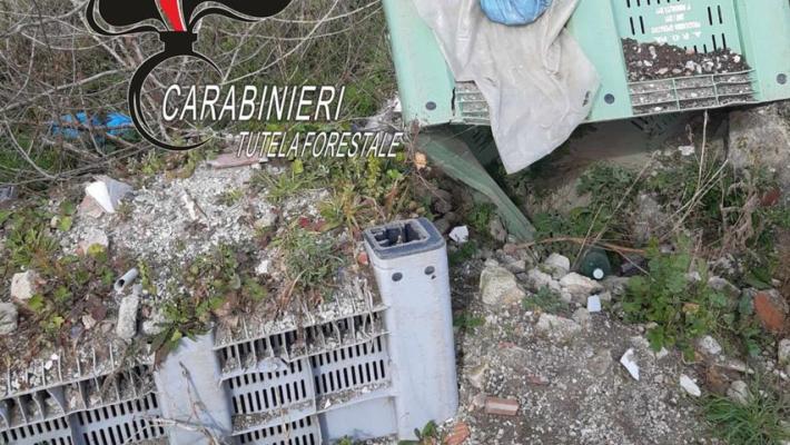 Sequestrata discarica abusiva di 35 mila mq a Pomigliano D'Arco