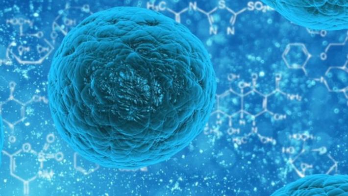 Coronavirus, da comparto farmaceutico e sindacati nuovo avviso comune