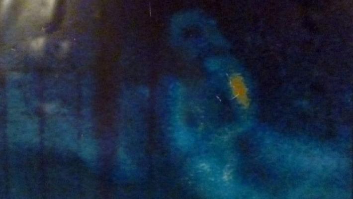 "Ho fotografato la dama del fantasma"