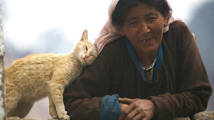 Ladakh, a due passi dal cielo