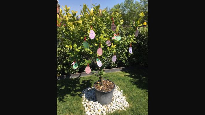 Le uova di Pasqua che fioriscono in giardino
