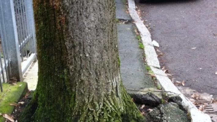 Manutenzioni straordinarie di strade, marciapiedi e  piste ciclabili: ecco il piano dei lavori per il 2020