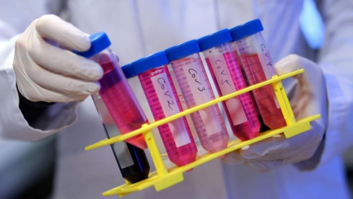 Il "sequenziatore" Pongolini: «A fine gennaio Omicron prima variante in regione»