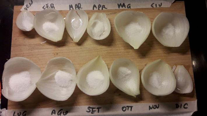 Le previsioni meteo? Con le cipolle