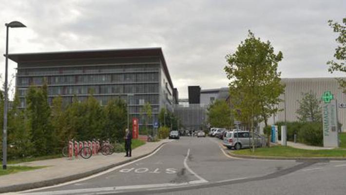 A Bergamo si sperimenta l'estrazione degli anticorpi