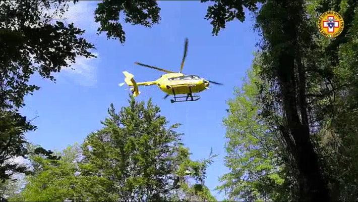 Solignano, cacciatore sta male dopo essere stato punto dai calabroni: soccorsi in azione per raggiungerlo