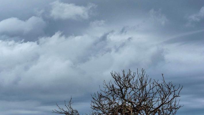  Vento forte e temporali: per domani è allerta meteo