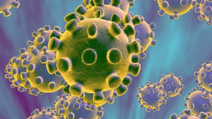 Coronavirus, nasce il super archivio dei pazienti 