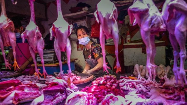 Ci sono nuove prove, la pandemia è nata dal mercato di Wuhan e dal commercio di fauna selvatica