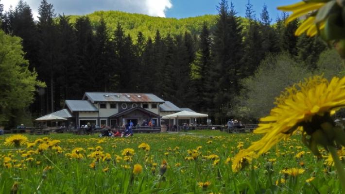 Musica, giochi, passeggiate e artisti. Lagdei celebra vent'anni di attività