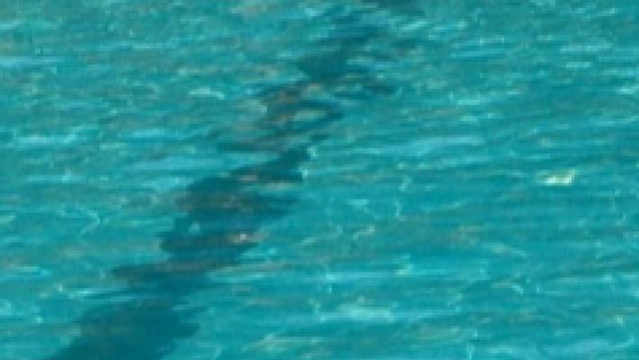 Malore alla piscina Leoni: salvato con il defibrillatore