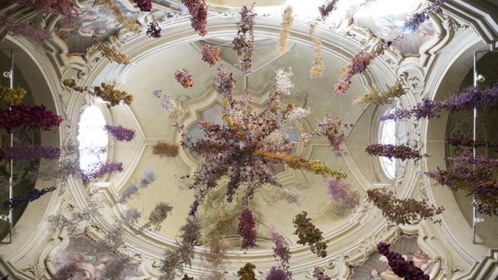 Il Florilegium di Rebecca Louise Law «sboccia» nel segno di Pharmacopea
