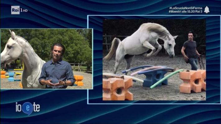 Salva i cavalli dai maltrattamenti: la storia di Federico su Rai1