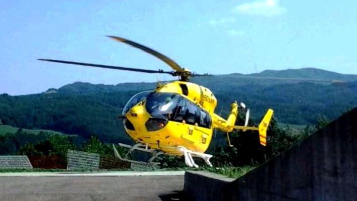 Roccaprebalza, punta da un'ape: salvata