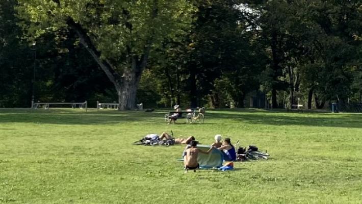 L'estate non vuole finire: sole ma anche insetti e pollini