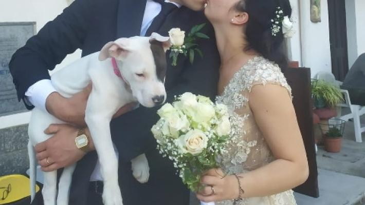 Buffet monodose e 'senza mani', via a nozze post-Covid