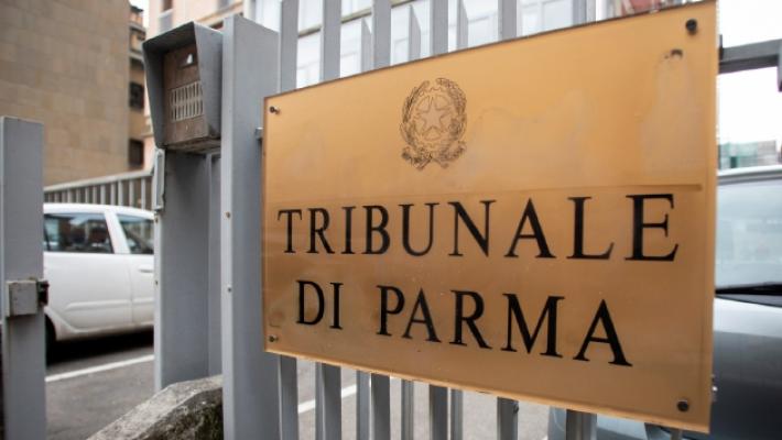 Condannata la «ragazza con la pistola»