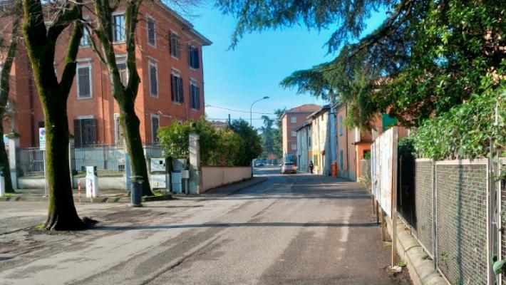 Felino, il pitbull fugge e morde un passante