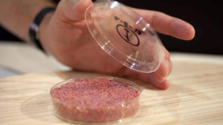 Stop a cibo sintetico, in bozza Ddl multe fino a 60mila euro