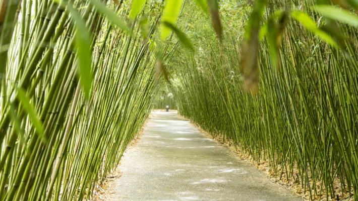 Insegnare, vivere  e mangiare green: 5 incontri al Labirinto 