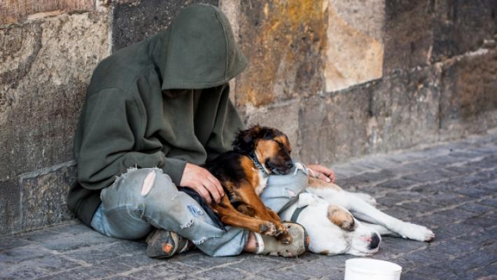 Mendicanti con i cani? È vietato, ma la città è piena: trovato cagnolino morto in San Leonardo. E nessuno fa niente
