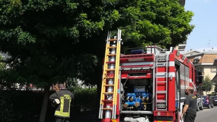Task force per salvarlo ma il gatto beffa tutti