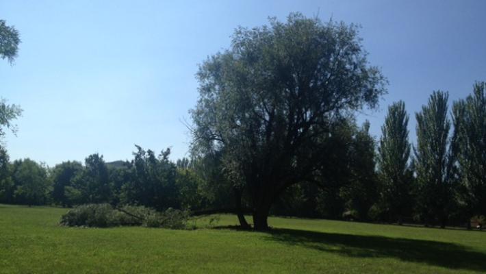 Violenza al parco Falcone e Borsellino, Rainieri e Zanichelli attaccano il Comune. Cavandoli chiede più attenzione alla sicurezza