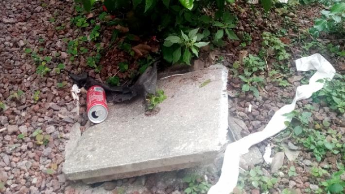 Appena sistemate e già vandalizzate le aiuole dei Nuovi Terragli