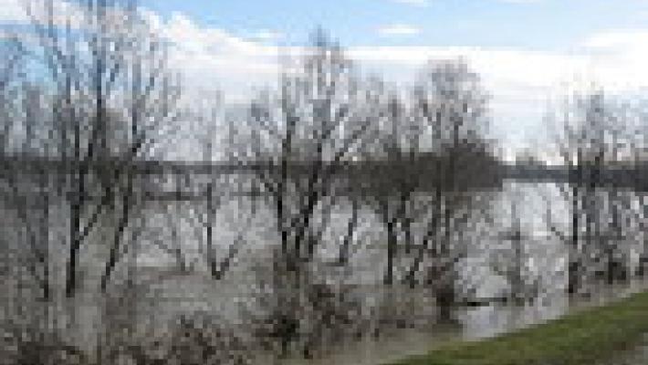 Sbloccati 730 mila euro per la cassa di espansione nel torrente Tarodine