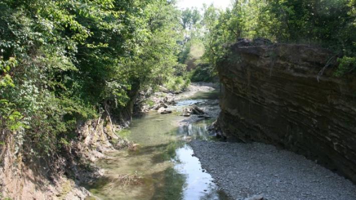 Raccolta firme per uscire dal Parco dello Stirone: «Rigidità e mancanza di tutela»