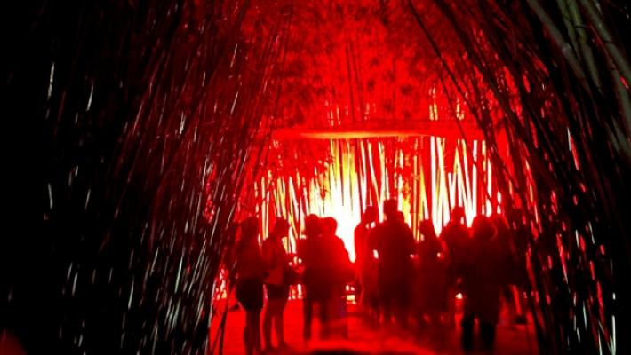 Labirinto, la lunga notte tra poesia, balli e concerti