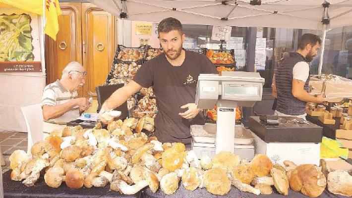Borgotaro, con la pioggia nuovi funghi E la fiera fa il «tutto esaurito»