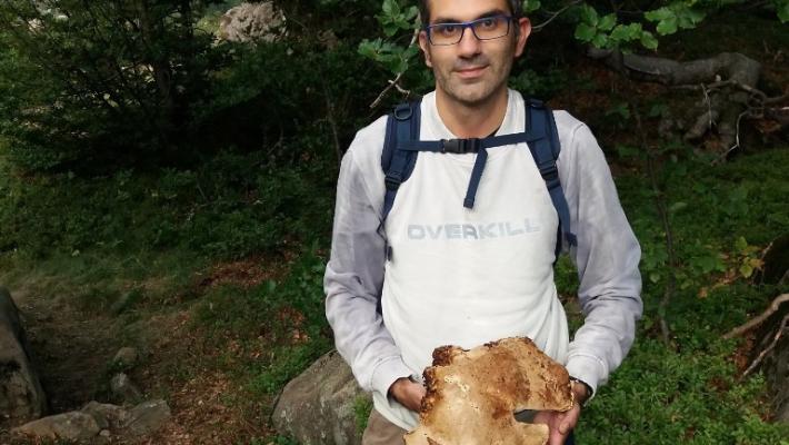 Quando il fungo pesa 2,5 kg...