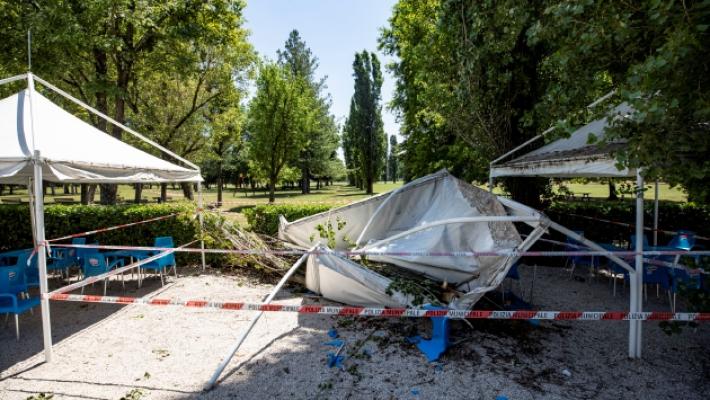 Parco Ferrari, anziana morì schiacciata da un ramo: assolti i quattro imputati