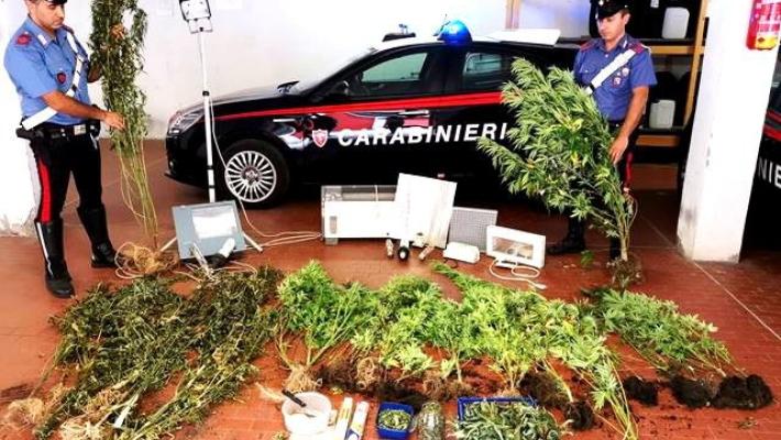 Disoccupato e coltivatore di cannabis: 56enne arrestato