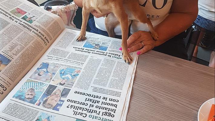 Bibi controlla le notizie del calciomercato