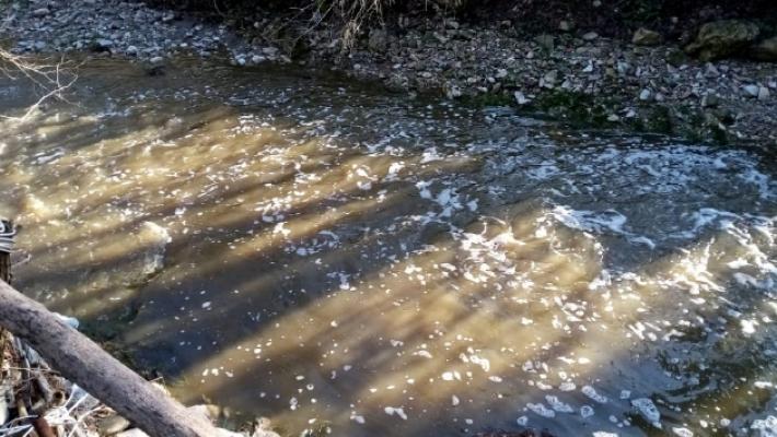 Liquami nel Termina: multato un allevatore