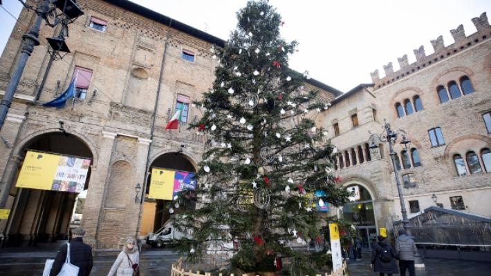 Addio «Spelacchio»: l'albero di Natale si trasformerà in mobili «solidali»