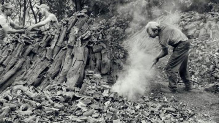I maghi del fuoco che trasformavano la legna in carbonella