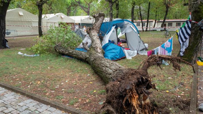 Marina di Massa, un albero crolla su una tenda di un campeggio: morte una bambina di 3 anni e la sorella di 14
