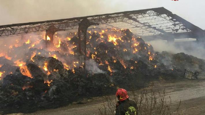 Campo di balloni in fiamme nel comune di Bedonia: intervengono i vigili del fuoco