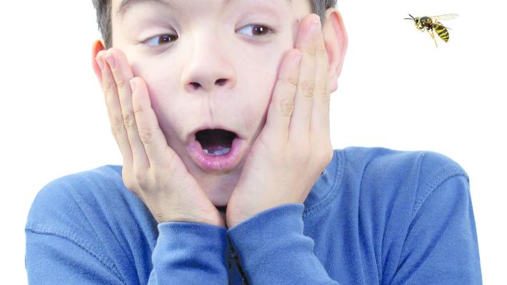 Quando  l'allergia  ti punge  nel vivo   